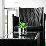 Apartament Casa Paletta
