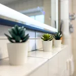 Apartament Casa Paletta